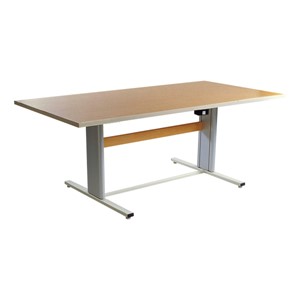 ADA Group Therapy Table w/Power Adjustment