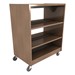 Mobile Bookcase w/ Wood Shelves