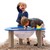 Dome Water Table