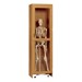 Skeleton Storage Cabinet