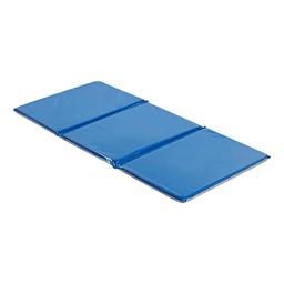 Everyday 3-Section Folding Nap Mat