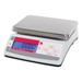 Valor 1000 Compact Economical Portioning Scale