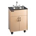 Portable Hand-Washing Station w/ Stainless Steel Basin - One Basin