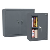 Wall-Hanging & Wall-Mount Storage Cabinets