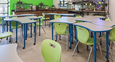 Collaborative classroom at Butler Tech Career & Technical College's Natural Science Center